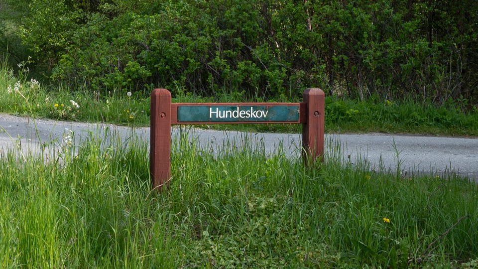 Nationalpark Thy - Hundeskove